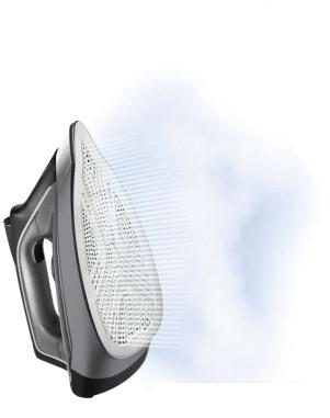 Утюг Rowenta Perfect Steam Pro DG8622F0