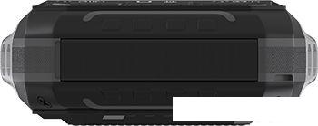 Кнопочный телефон Maxvi T100 (черный)