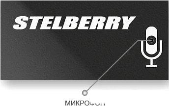 Микрофон Stelberry M-60