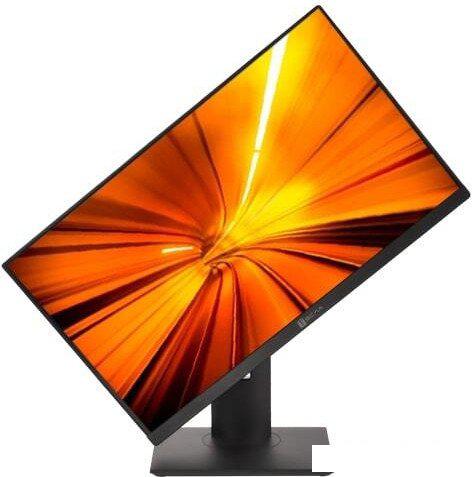 Моноблок ТЕСЛА P24BP 2116500