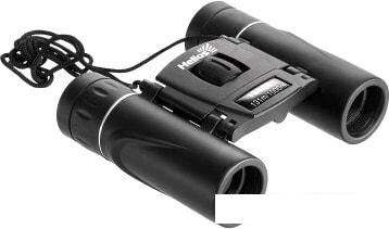 Бинокль Helios HS 10х22 M