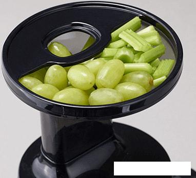 Соковыжималка Hurom H100S (бежевый)