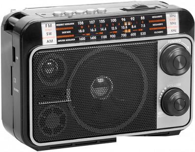 Радиоприемник Ritmix RPR-171