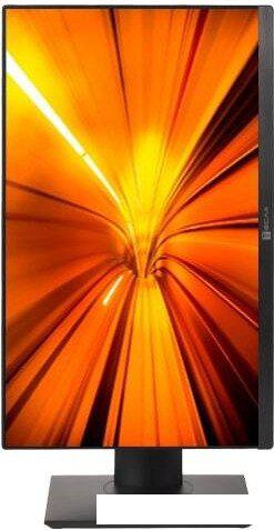 Моноблок ТЕСЛА P24BP 2116500