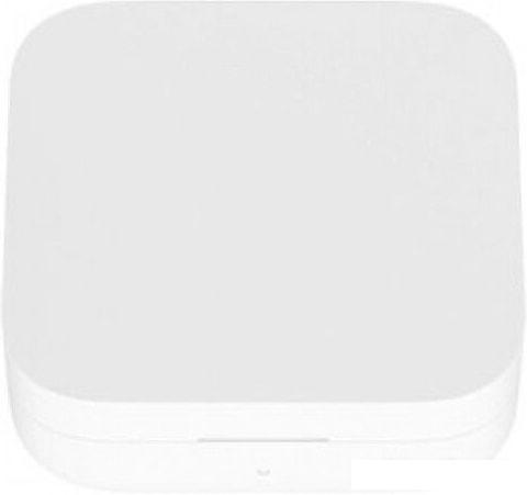 Наушники Xiaomi Mi True Wireless 2 Basic TWSEJ08WM (международная версия)