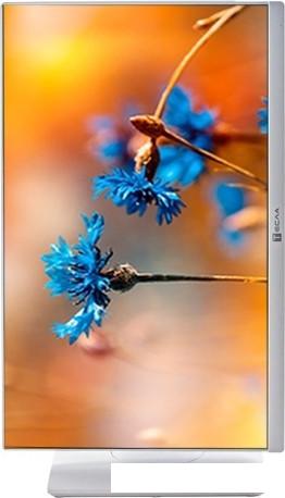 Моноблок ТЕСЛА P24WP 2116500