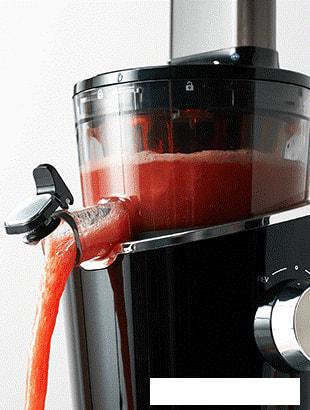 Соковыжималка Hurom H100S (бежевый)