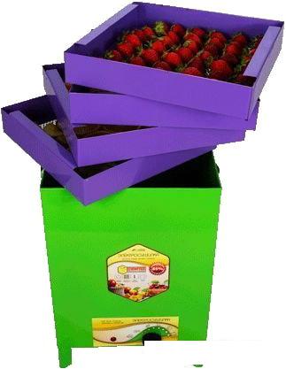 Сушилка для овощей и фруктов УЗБИ Сухофрукт В02