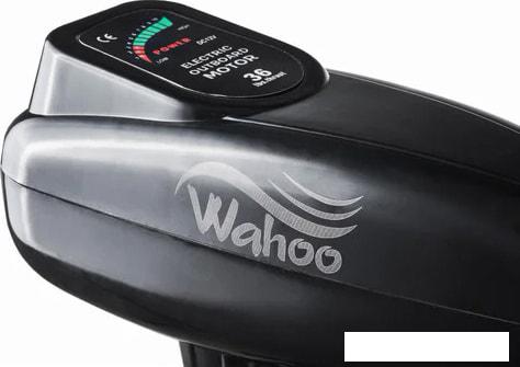 Лодочный мотор Wahoo GJ-36lbs