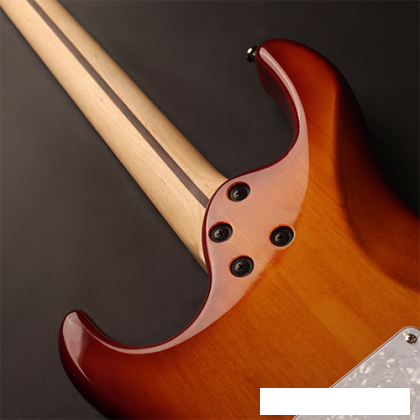 Электрогитара Cort G250 TAB