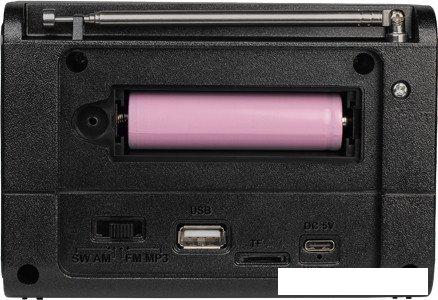 Радиоприемник Ritmix RPR-020