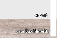Шкаф навесной Anrex Alesia для сушки посуды 2D/60-F1 (серый/дуб анкона) Шкаф навесной Anrex Alesia для сушки посуды 2D/60-F1 (серый/дуб анкона)