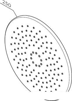 Верхний душ AM.PM F0580000