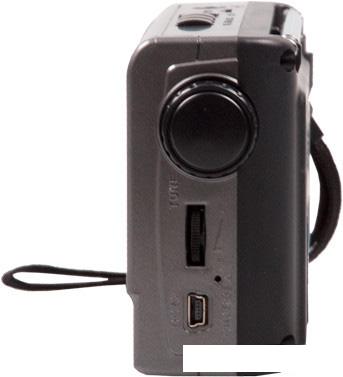 Радиоприемник Ritmix RPR-151