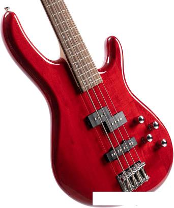 Бас-гитара Cort Action Bass Plus TR