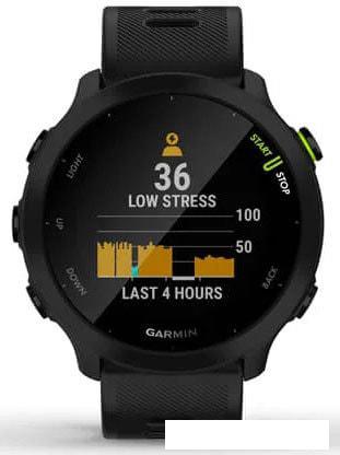 Умные часы Garmin Forerunner 55 (черный)