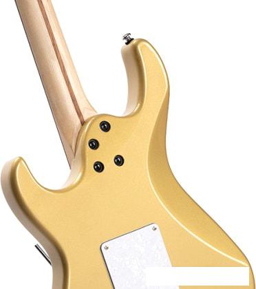 Электрогитара Cort G250 CGM