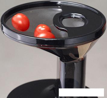 Соковыжималка Hurom H100S (бежевый)