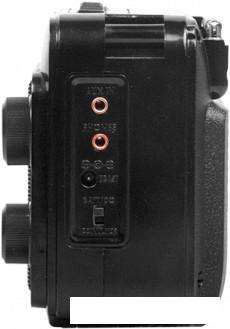 Радиоприемник Ritmix RPR-171