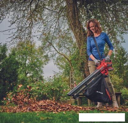 Колесная воздуходувка Einhell Venturro 18/210 3433625 (без АКБ)