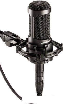 Микрофон Audio-Technica AT2035
