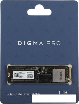 SSD Digma Pro Top P6 1TB DGPST5001TP6T4