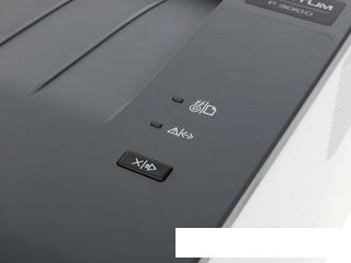 Принтер Pantum P3010D