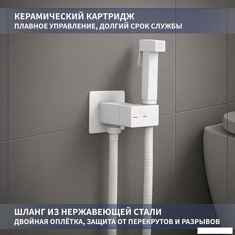 Гигиенический душ Lauter Rainix 21LT7713MW