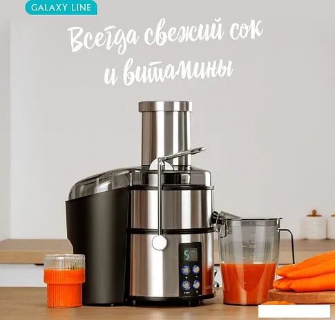 Соковыжималка Galaxy Line GL0808