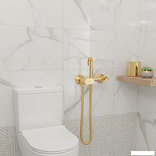 Гигиенический душ Lauter Sano 21LT1294GL