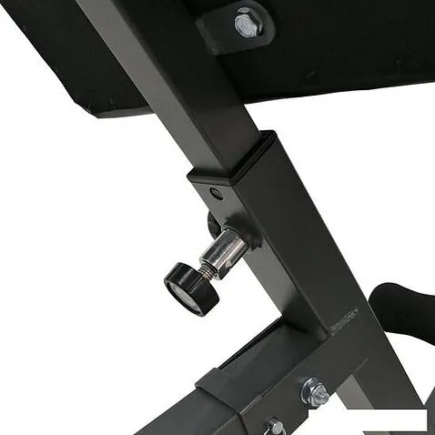 Гиперэкстензия DFC Homegym SJ1006