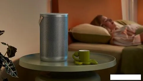 Очиститель воздуха SmartMi Air Purifier P2 ZMKQJHQP21