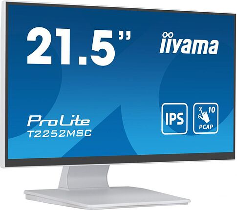 Монитор Iiyama ProLite T2252MSC-W2