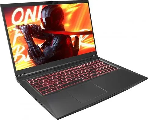 Игровой ноутбук Maibenben X725 X725FSFNLBRE0