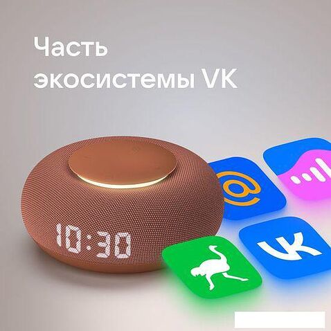 Умная колонка VK Капсула Мини (терракотовый)