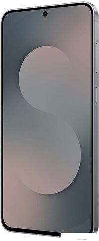 Телефон Samsung Galaxy S25 FE SM-S731B 8GB/256GB (черный)