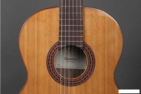 Акустическая гитара Alhambra Student Iberia Ziricote
