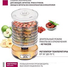 Сушилка для овощей и фруктов Мастерица EFD-3070