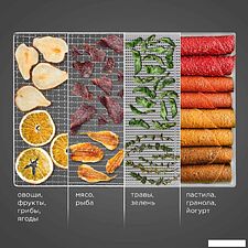 Сушилка для овощей и фруктов Redmond (Редмонд) FD1104