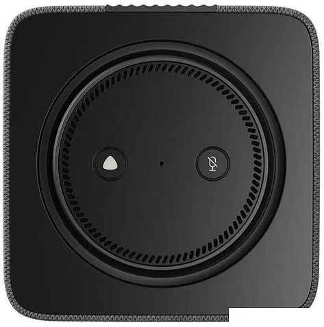 Умная колонка Яндекс Станция Макс (с хабом умного дома Zigbee, графит)