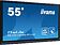 Интерактивная панель Iiyama ProLite TE5512MIS-B1AG