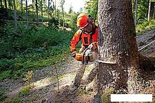 Бензопила STIHL MS 362