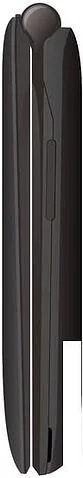 Кнопочный телефон Digma Vox FS241 (черный)