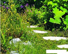 Кусторез + ножницы Einhell GE-CG 12 Li WT (с АКБ)