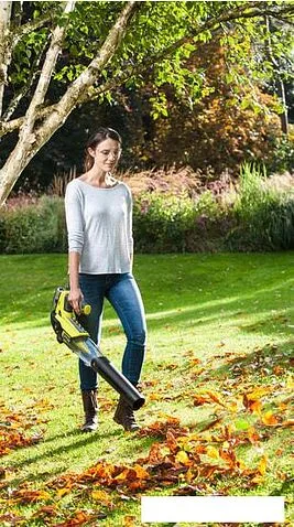 Воздуходувка Ryobi OBL18JB (без АКБ)