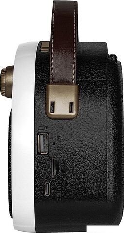 Радиоприемник Ritmix RPR-040 (белый)