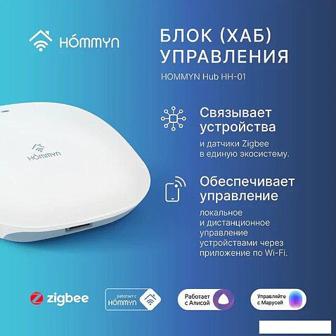 Центр управления (хаб) Hommyn Hub HH-01