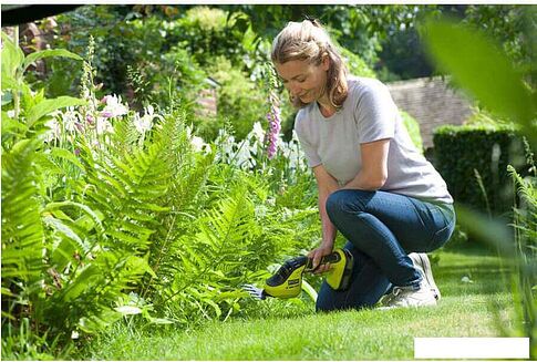 Садовые ножницы Ryobi OGS1822 [5133002830]