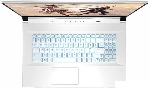 Игровой ноутбук MSI Sword 17 A11UC-898XRU