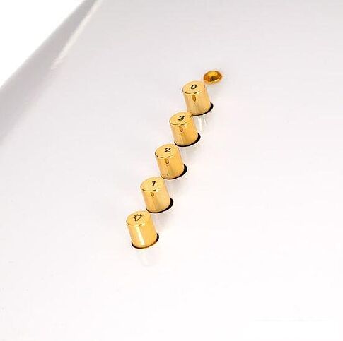 Кухонная вытяжка Akpo Dandys 60 WK-4 (белый/золотистый)